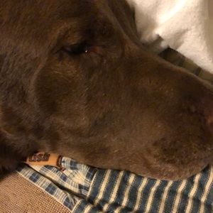 Meet your Posher, Kathleen